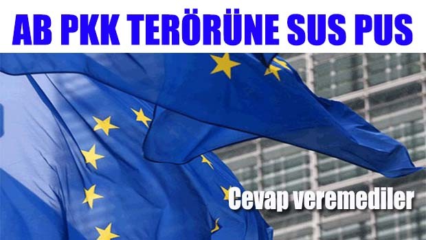 PKK sorusuna cevap veremedi