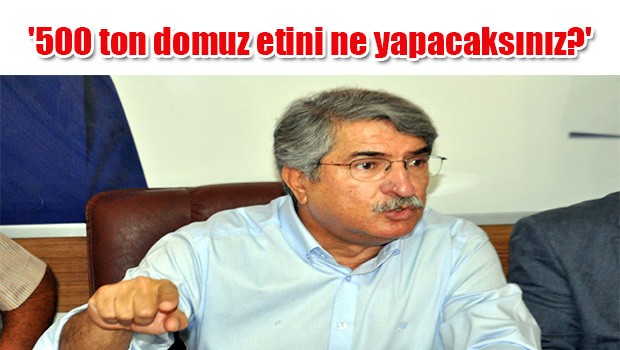 CHP'li Sağlar: 500 ton domuz etini ne yapacaksınız?
