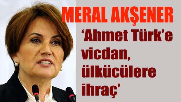 Akşener, 'Ahmet Türk'e vicdan, ülkücülere ihraç'