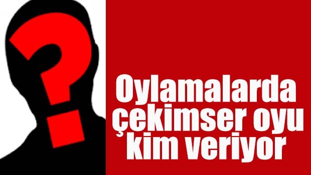 Meclis oylamalarında geçersiz oyu kullanan kim?