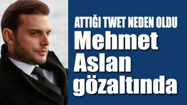 MHP'li Mehmet Aslan gözaltında
