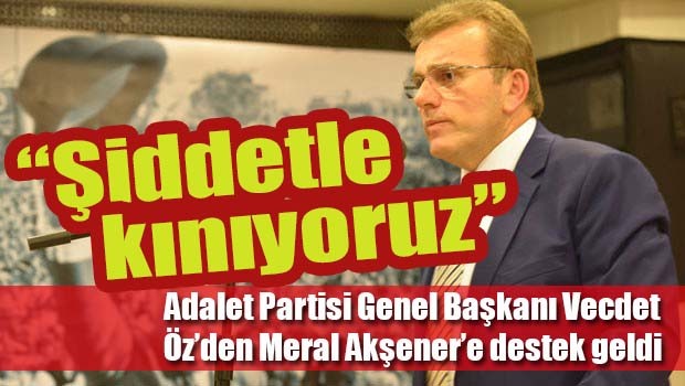 Meral Akşener'e bir destek de Adalet Partisi'nden
