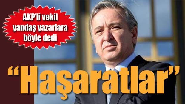 AKP'li vekilden yandaş yazarlara, 'Haşaratlar'