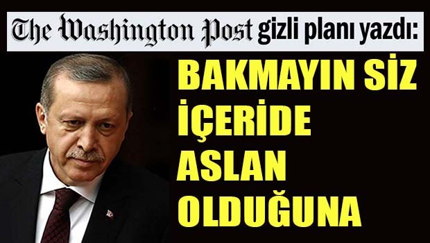 Bakmayın siz içeride aslan olduğuna!