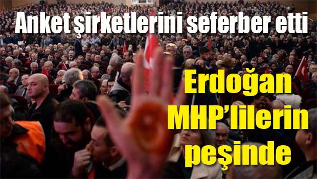 Erdoğan, Anket şirketlerine MHP tabanı 'Niye hayır' diye sorduruyor!