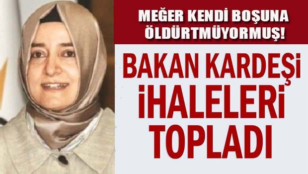 Bakan Kaya'nın kızkardeşi ihaleleri topladı!