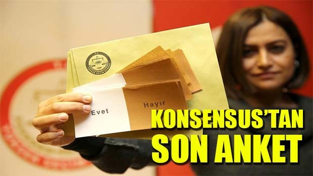 Konsensus'tan son anket!