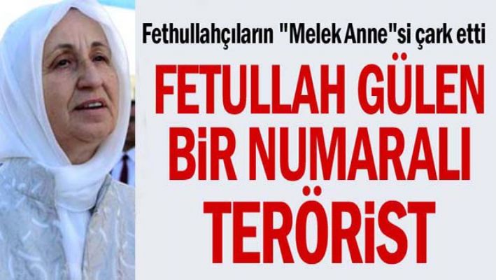 Melek İpek, 'Fetullah Gülen bir numaralı terörist'