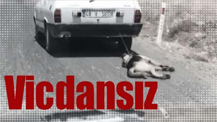 VİCDANSIZ