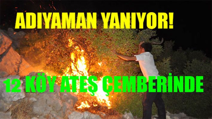 Adıyaman'daki Yangın 12 Köyü Sardı