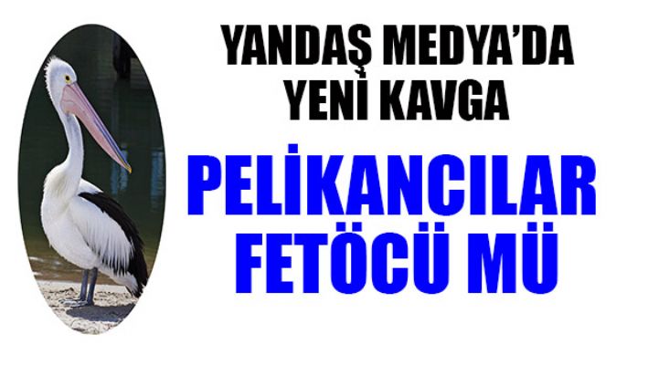 Pelikancılar Fetö'cü mü?