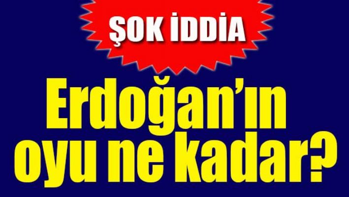 ERDOĞAN'IN OYU NE KADAR?