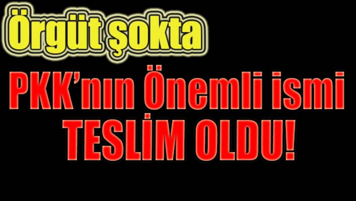 PKK'lı terörist teslim oldu
