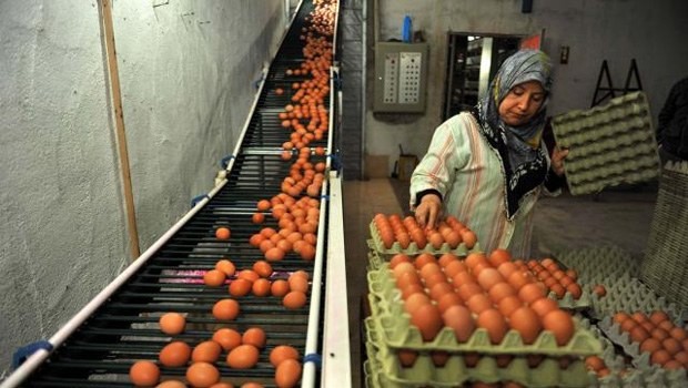 IŞİD yolları kesti ihracat durdu