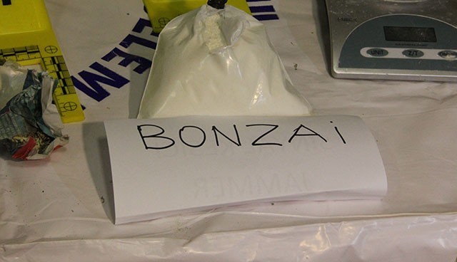 Bin 500 polisle BONZAİ operasyonu