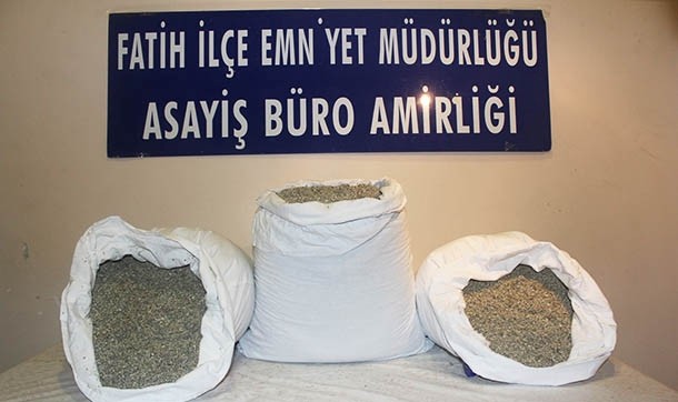 7 kilogram bonzai ele geçirildi