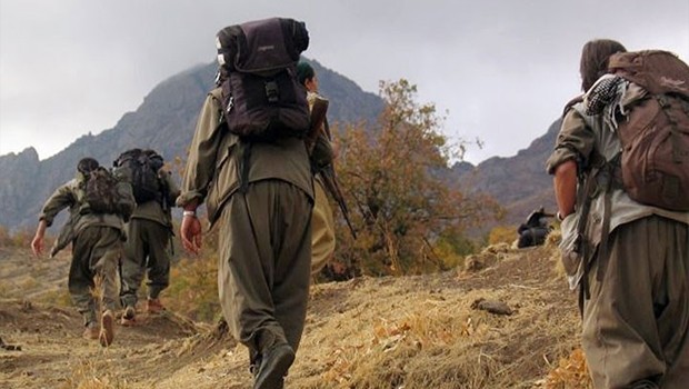 330 PKK'lı terörist  teslim oldu