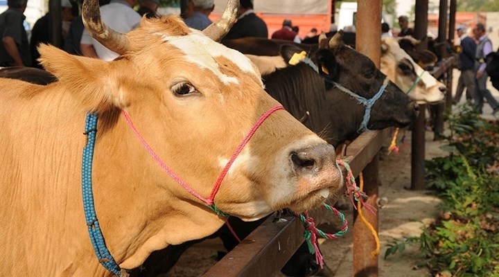Kurban yerleri ile ilgili şok iddia