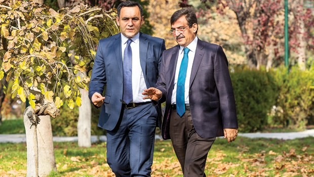 Nasıl kıydınız bu zeytinliklere