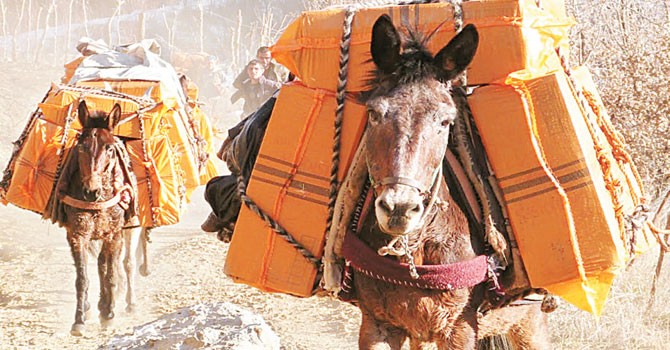 Sınırda kaçakçı terörü