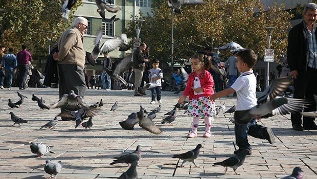 İstanbul'a bahar geliyor