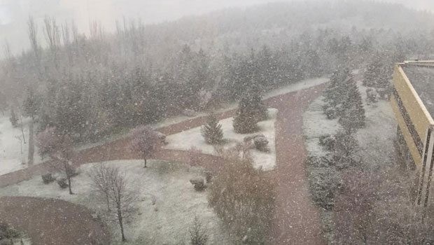 Şubat görünümlü Nisan