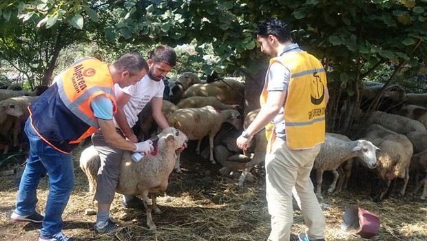 Alperen Ocakları Musul-Kerkük'te