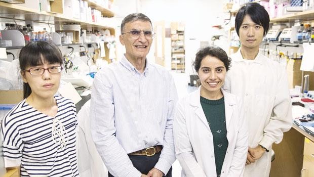 Bu Nobel'i Türkiye'ye borçluyum