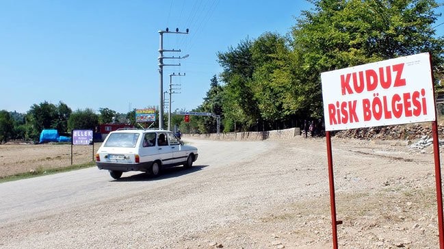 Osmaniye'de kuduz paniği!
