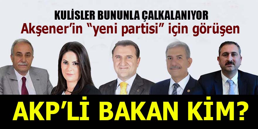 Meral Akşener'in "yeni partisi" için görüşen AKP'li Bakan kim?