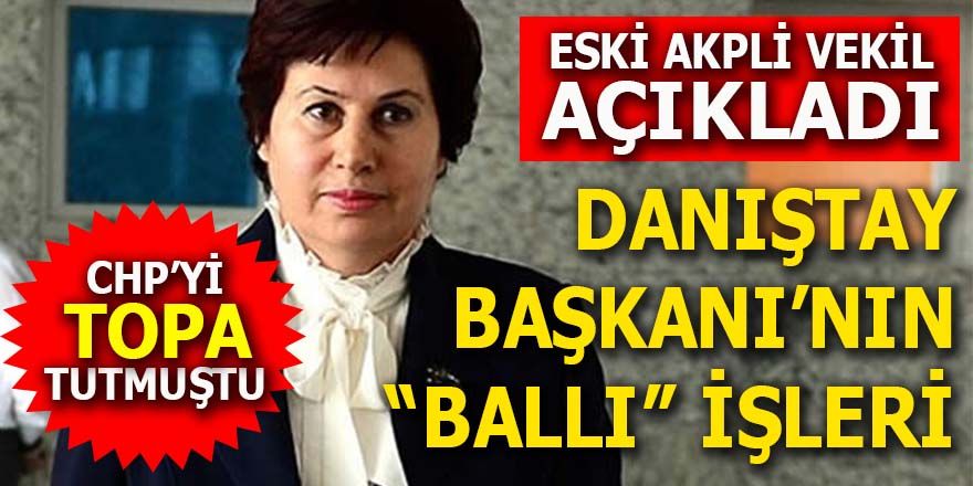 AKP'li eski vekil açıkladı: Danıştay Başkanı Güngör'ün "ballı" işleri