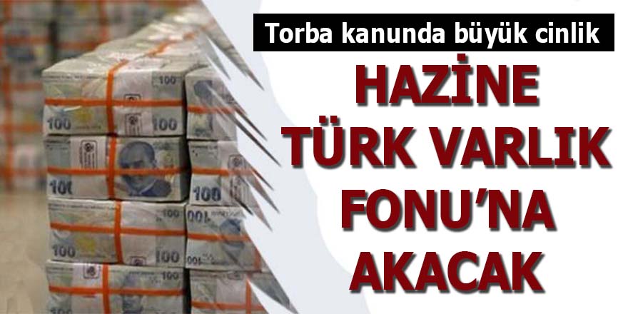 Hazine, Türk Varlık Fonu'na akacak