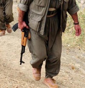 Hakkari'de 2 PKK'lı teslim oldu