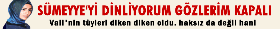 Vali'nin tüyleri diken diken olmuş