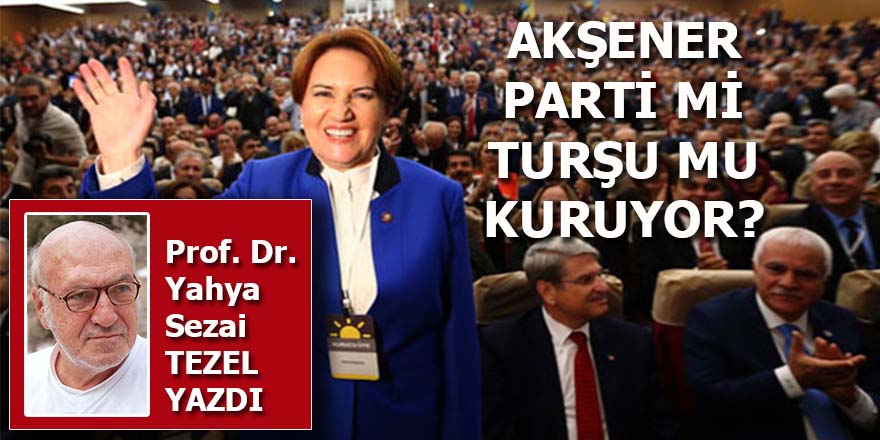 Meral Akşener parti mi, turşu mu kuruyor?