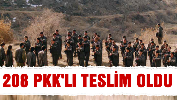 208 PKK'lı teslim oldu