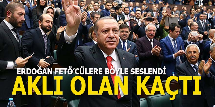 Erdoğan: Aklı olan kaçtı!