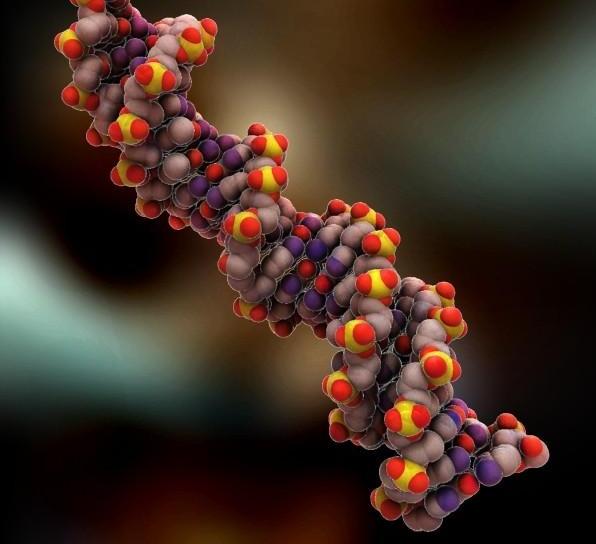 Bilimde DNA devrimi