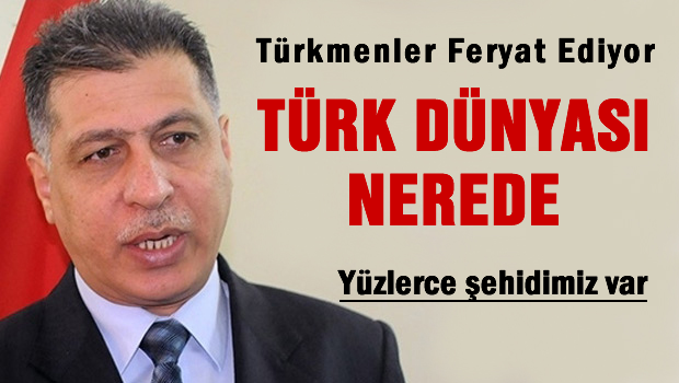 Salihi 'Türk dünyası nerede'