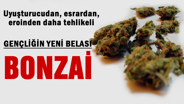 Gençliğin yeni belası 'BONZAİ'