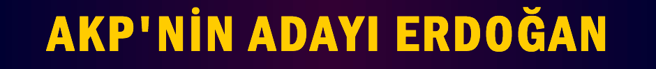 Arınç Cumhurbaşkanı adayını açıkladı