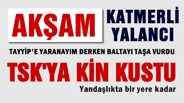 Akşam Gazetesi'ni Cumhurbaşkanı ve Başbakan yalanladı