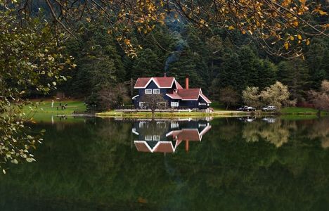 Bolu Belediyesi Gölcük Tabiat Parkı'ndaki bungolovları kiralıyor!