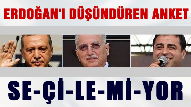 Erdoğan'ı düşündüren ANKET
