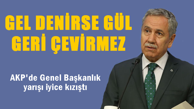 Gel denirse Gül geri çevirmez