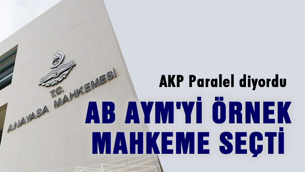AB: AYM örnek mahkeme