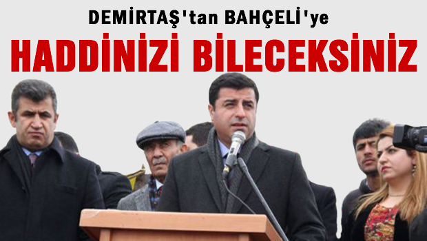 Demirtaş 'Haddinizi bileceksiniz'