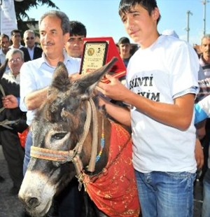 Eşek yarışları'nda renkli görüntüler