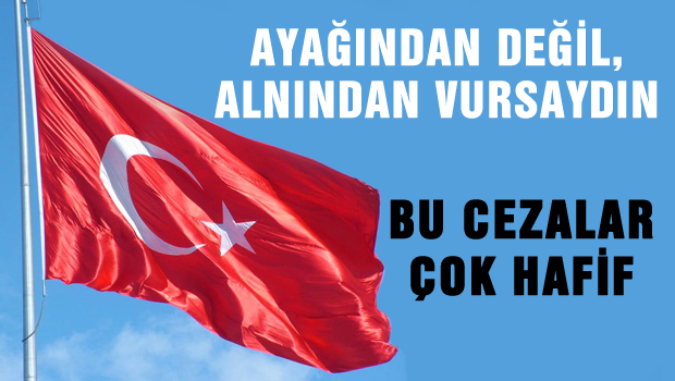 Bayrak indirme cezaları çok hafif