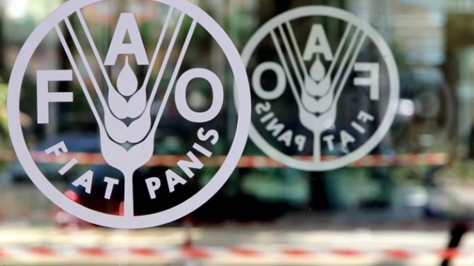 FAO: Gıda fiyatları 2017'de yüzde 8 arttı